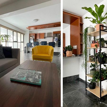 Great Apartment In The Heart Of Coyoacan Mexico City Ngoại thất bức ảnh