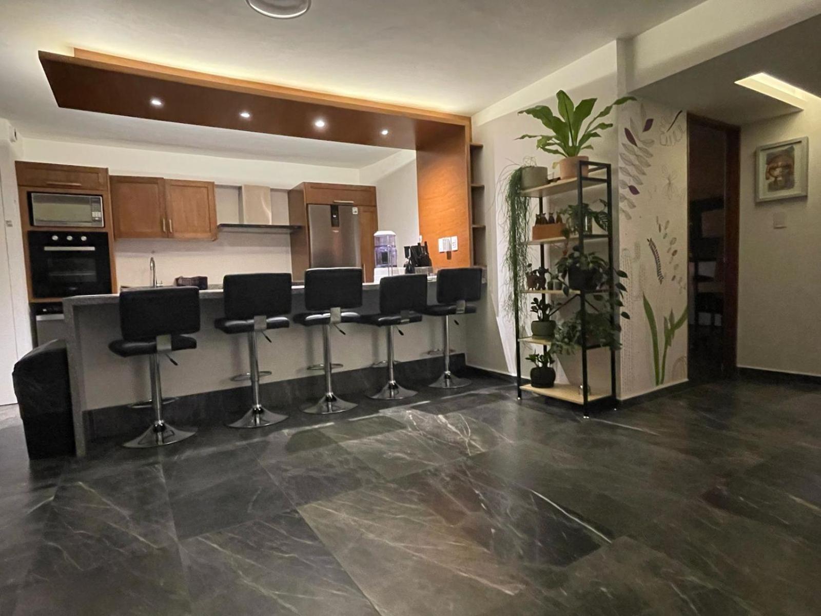 Great Apartment In The Heart Of Coyoacan Mexico City Ngoại thất bức ảnh