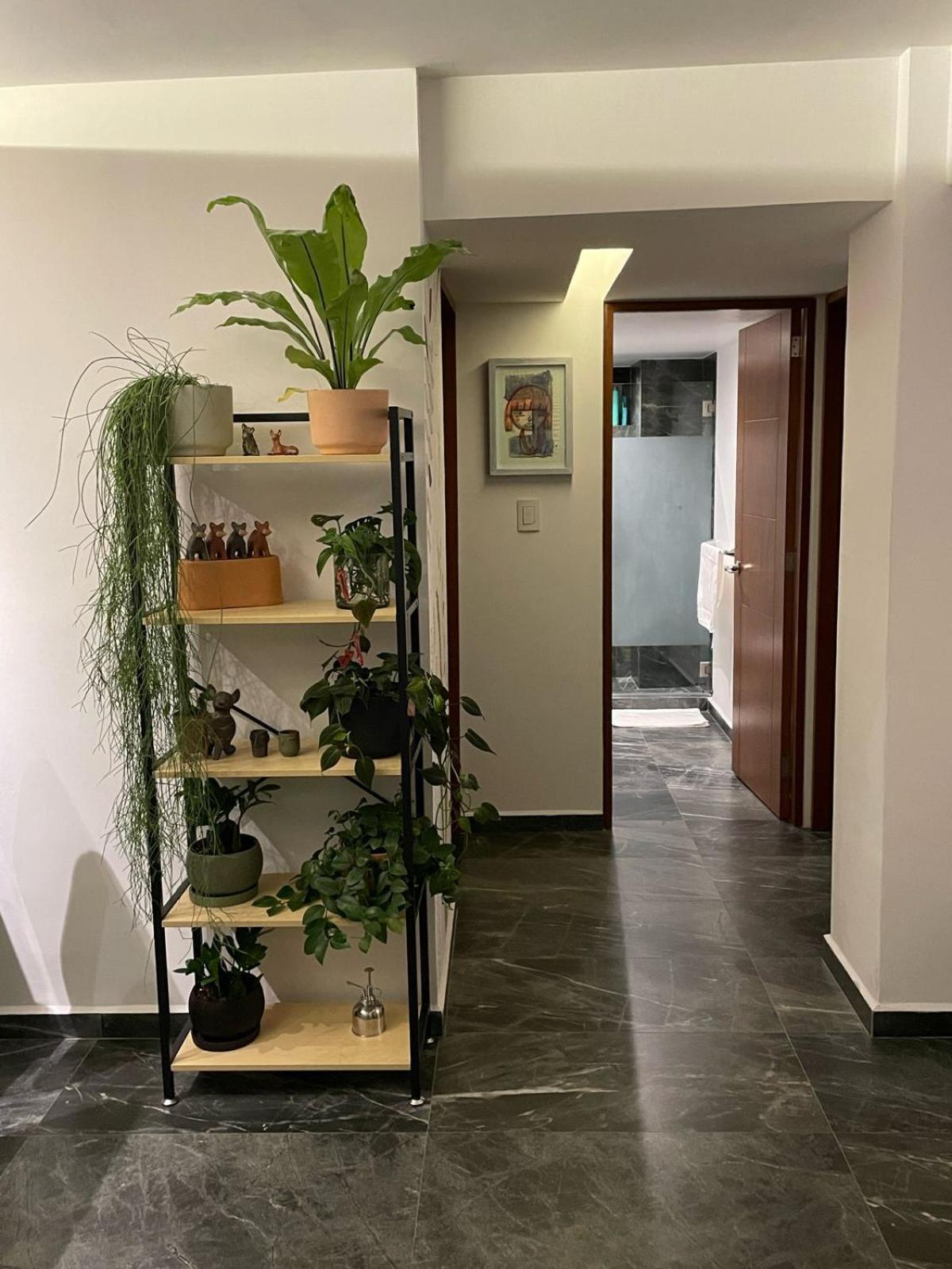 Great Apartment In The Heart Of Coyoacan Mexico City Ngoại thất bức ảnh