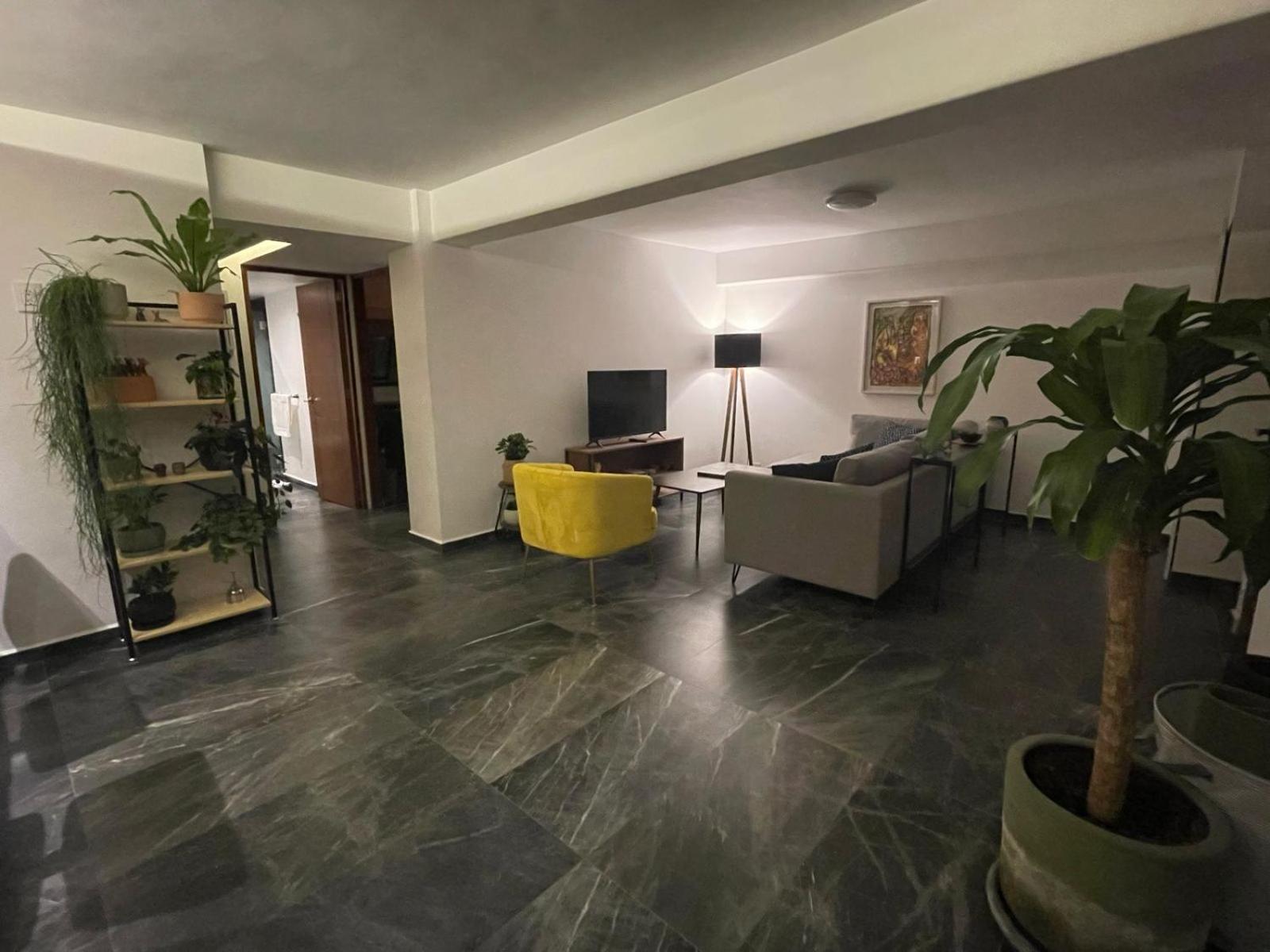 Great Apartment In The Heart Of Coyoacan Mexico City Ngoại thất bức ảnh