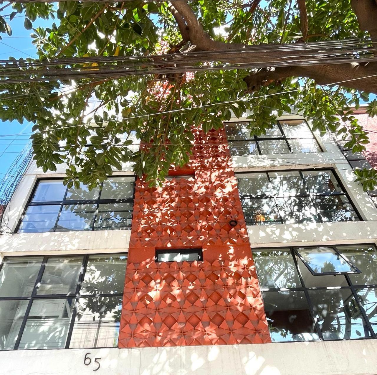 Great Apartment In The Heart Of Coyoacan Mexico City Ngoại thất bức ảnh